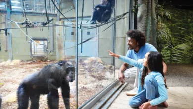 twycross zoo 2026 review