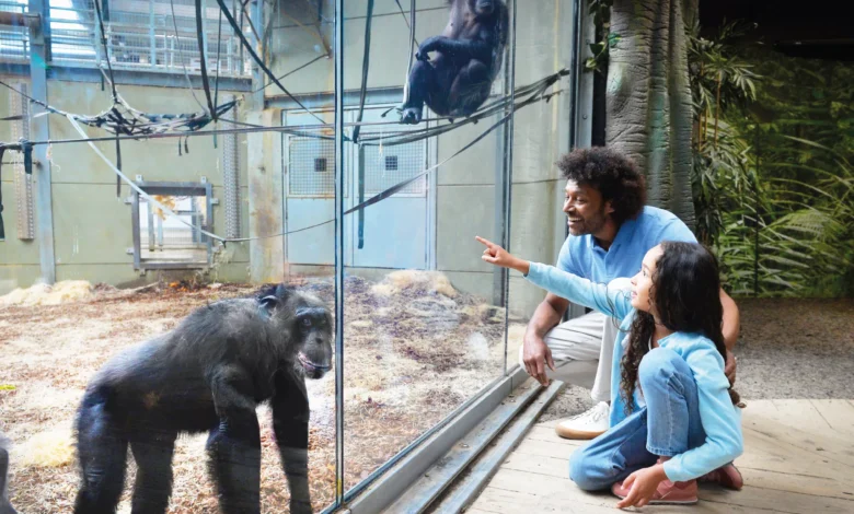 twycross zoo 2026 review